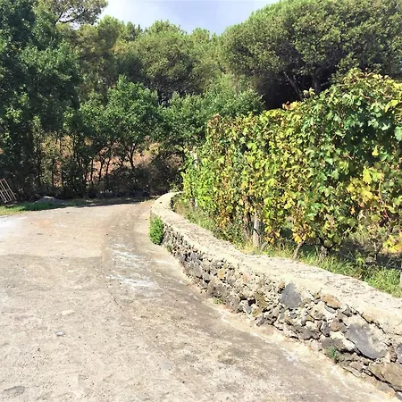 Casale Rendine *