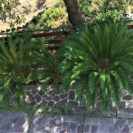 Casa vacanze Casale Rendine *